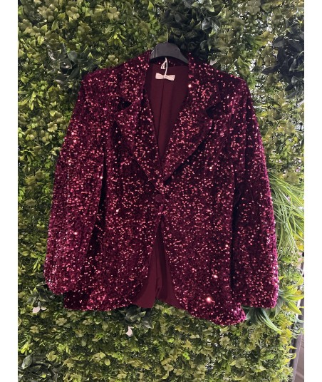 Blazer sequins